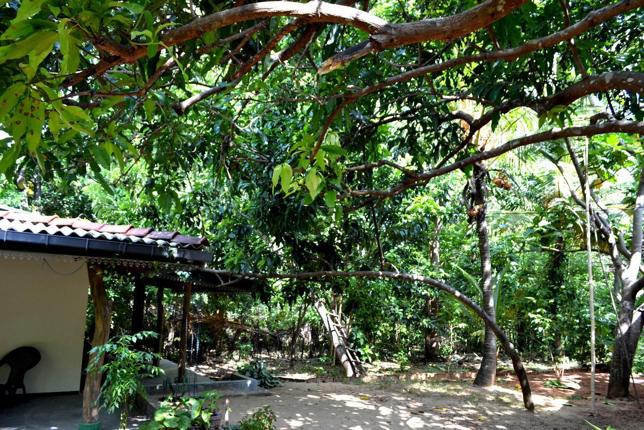 Sigiriya Freedom Lodge Dambulla Luaran gambar