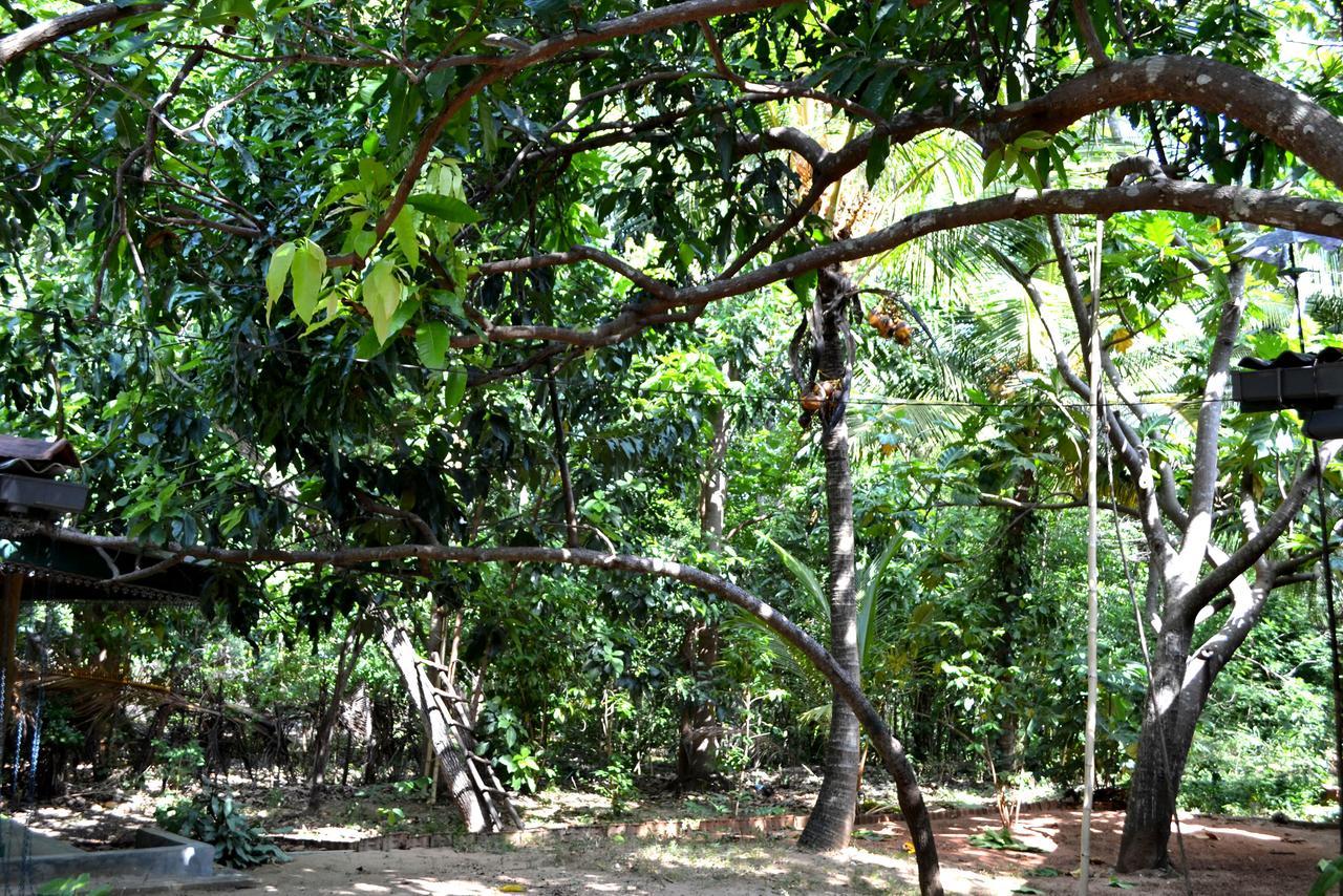 Sigiriya Freedom Lodge Dambulla Luaran gambar