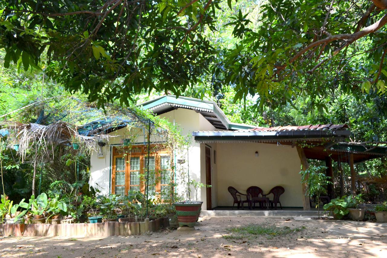 Sigiriya Freedom Lodge Dambulla Luaran gambar