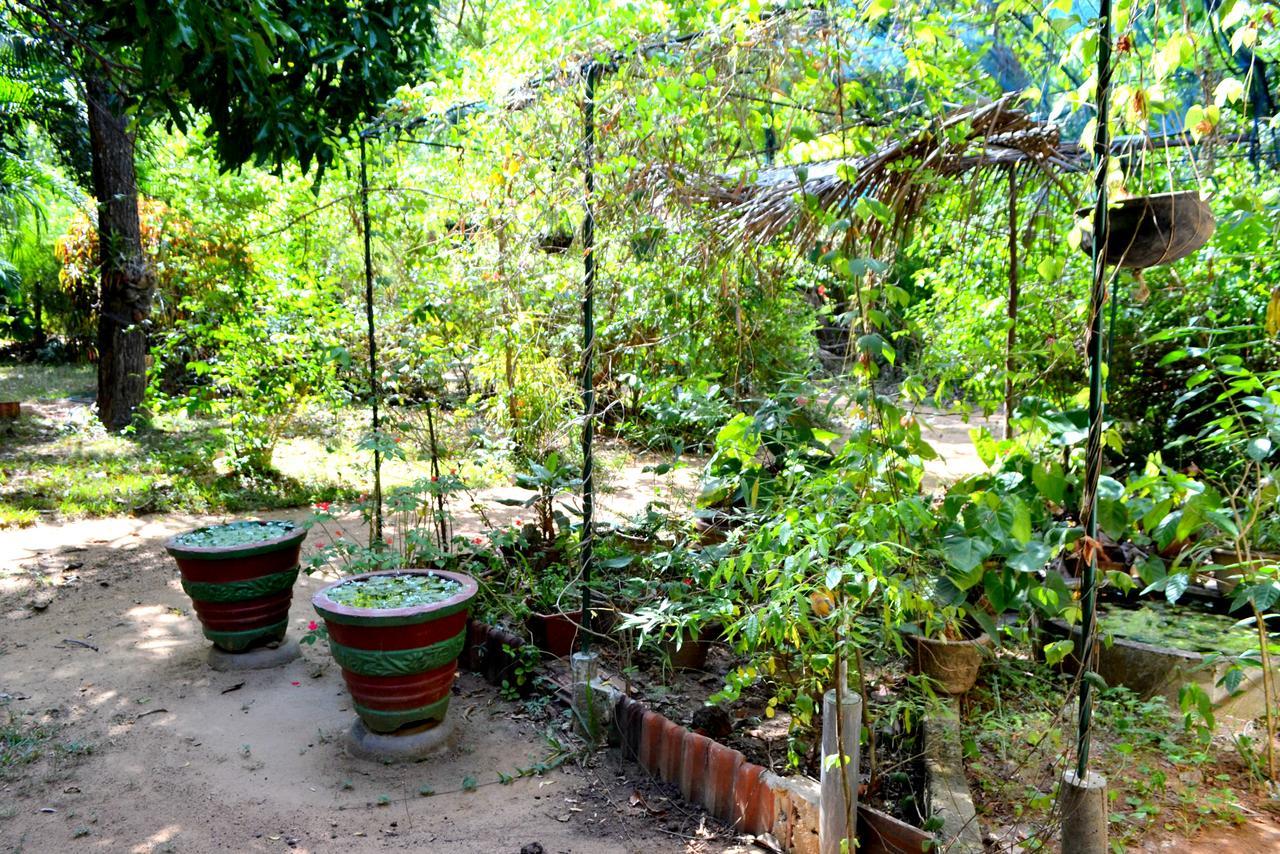 Sigiriya Freedom Lodge Dambulla Luaran gambar