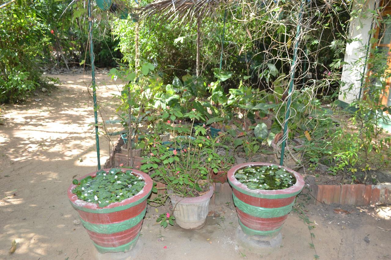Sigiriya Freedom Lodge Dambulla Luaran gambar