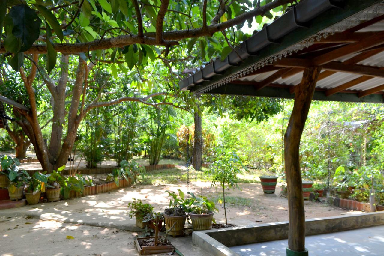 Sigiriya Freedom Lodge Dambulla Luaran gambar