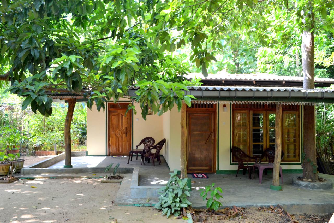 Sigiriya Freedom Lodge Dambulla Luaran gambar